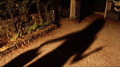 The White Shadow
